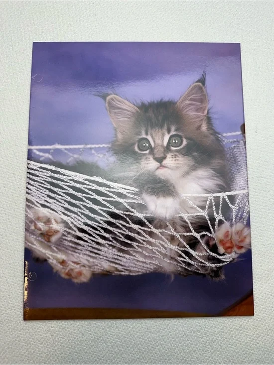 Mead 2003 Purrs & Grrrs cat Themed folder