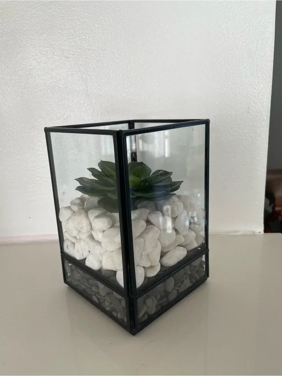 Crate&Barrel Black Glass Terrarium with White Pebbles and Green Succulent
