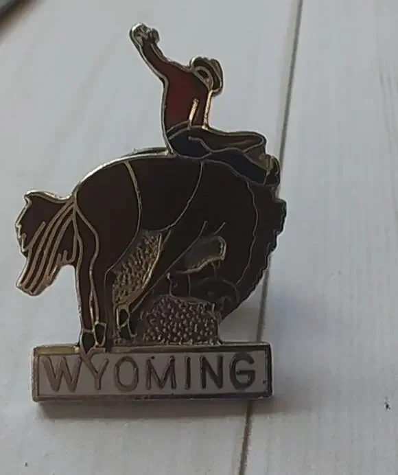 Wyoming Bucking Bronco Cowboy State Pin for Hat, Lapel, Jacket or Backpack
