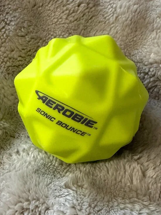 Aerobie Sonic Bounce Ball, High-Performance Geodesic Bouncing Toy for dogs