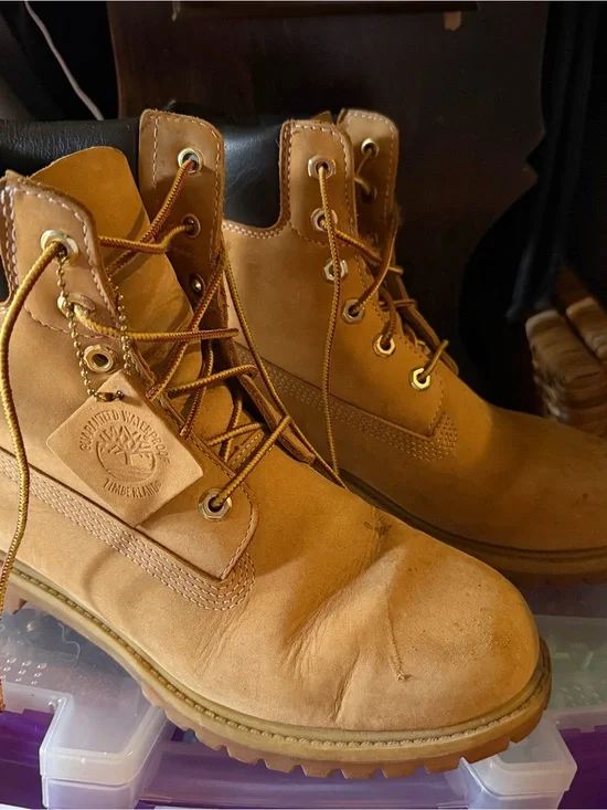 Timberland Men's Premium Waterproof Work Boots