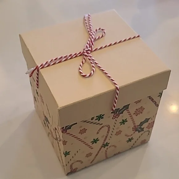 New Christmas Holiday Box