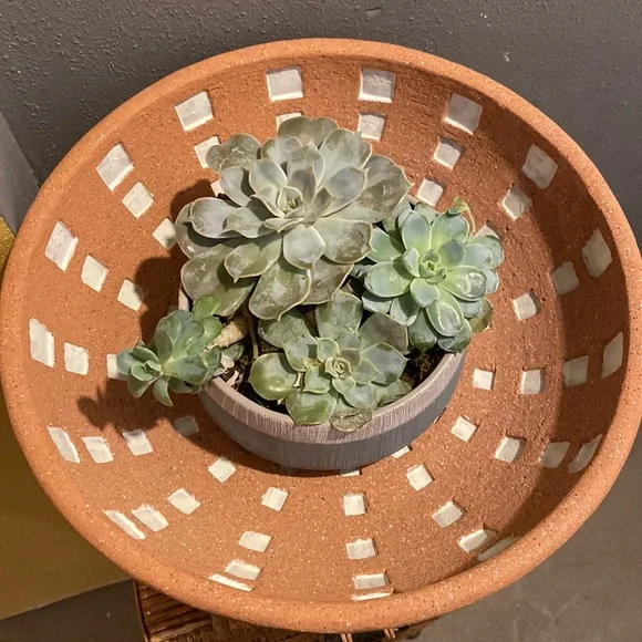 NWT PIER 1 Terracotta 12.5” Diameter Decorative Bowl
