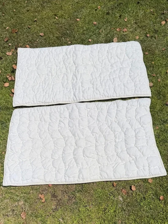 Pottery Barn Cozy Cloud 2-Piece King Sham Set Creamy White Cotton Chenille GUC