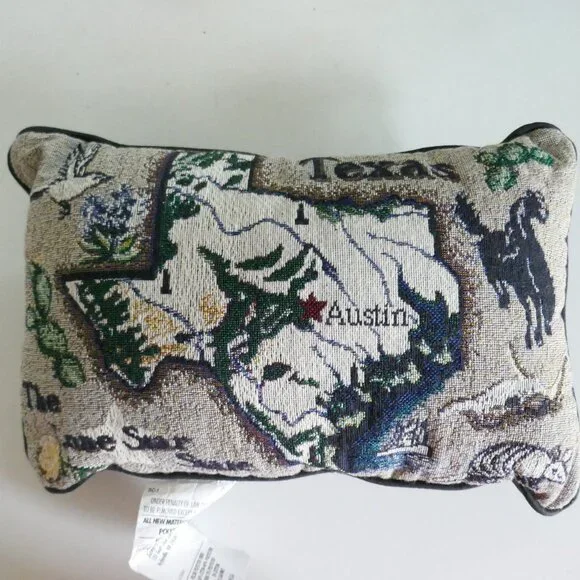 Texas decorative needlepoint pillow with map and things that represent TX