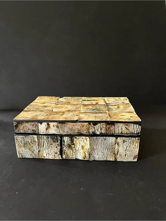 Faux horn decorative box