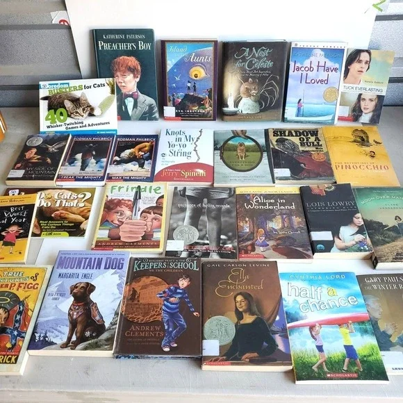 Homeschool Teacher‎ Library Reading level 5 Readers Lot of 26 Books