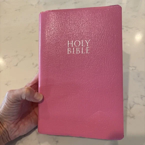 Holy Bible New International Version Zondervan Pink Faux Leather Cover 2011