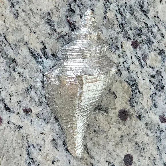 REGINA ANDREW SILVER CONCH SHELL COASTAL BEACH VASE FILLER HOME TABLE DECOR