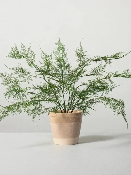 Asparagus Faux Fern potted Plant - Hearth & Hand with Magnolia