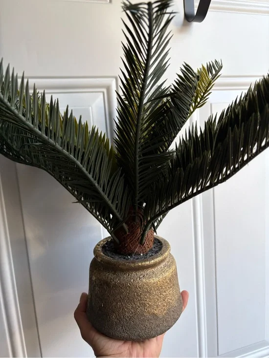 Potted Faux plant from Opalhouse