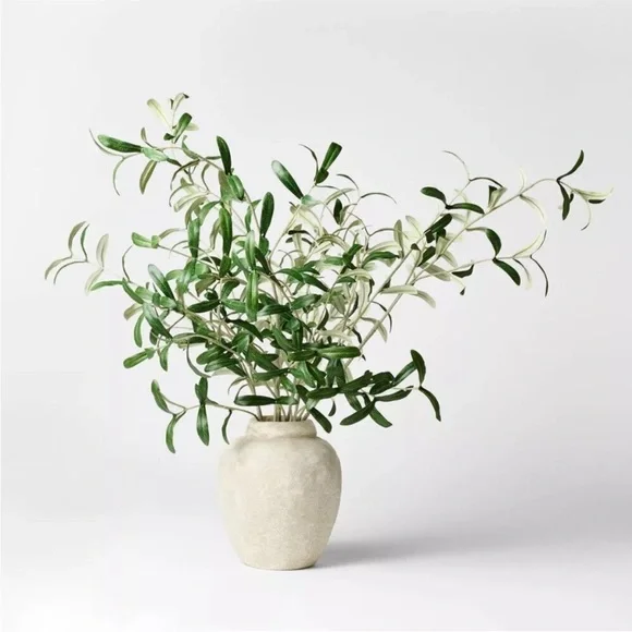 Olive Leaf Potted Arrangement - Threshold designed with Studio McGee