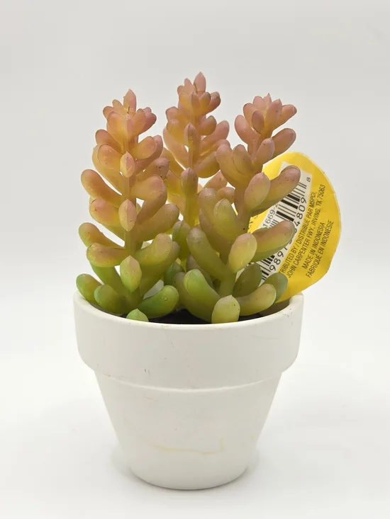 FREE Add-On With $20 Purchase Mini Faux Succulent In Ceramic Pot.