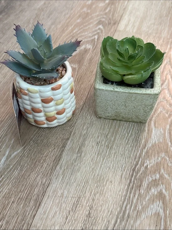 Bundle of 2 Mini Faux Succulents Non Matching Ceramic Pots Kohl's Target 2