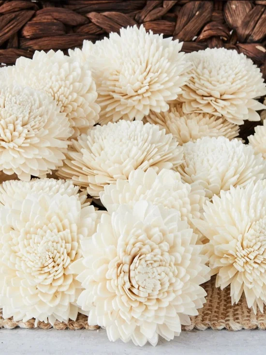 Zinnia Sola Wood Flowers - Set of 25 Large Medium Small Assorted