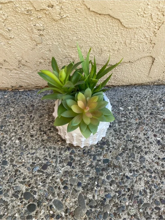 White Ceramic Succulent Planter with Green Faux Succulents