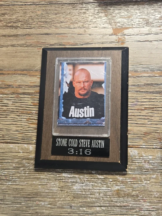 Framed Wrestling Collectible Wall Plaque in Black and Brown