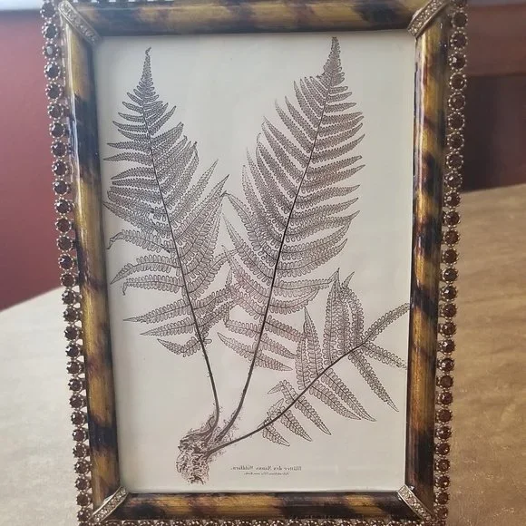 RARE JAY STRONGWATER LORRAINE LUCAS LEOPARD JUNGLE PAVE CRYSTAL ENAMEL FRAME