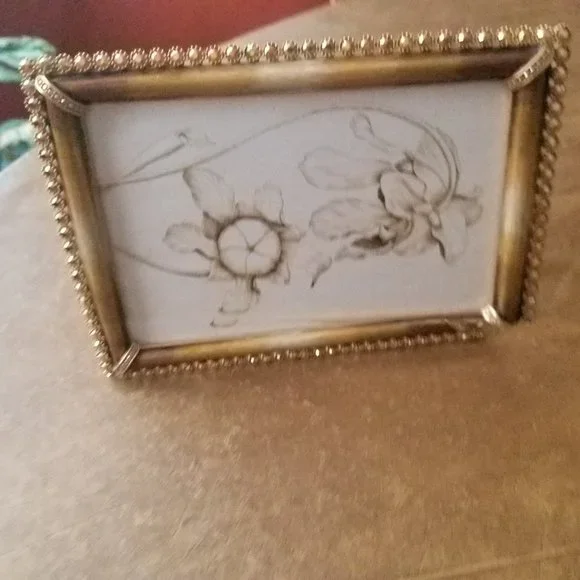 RARE JAY STRONGWATER JUNGLE LORRAINE LUCAS OMBRE GOLD PAVE CRYSTAL ENAMEL FRAME
