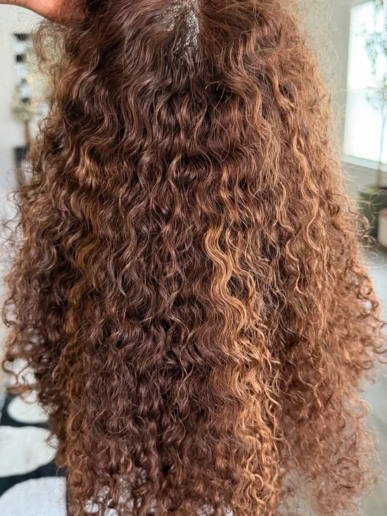 Good condition Curly Human Hair HD lace Wig 22 inch - brown/highlight