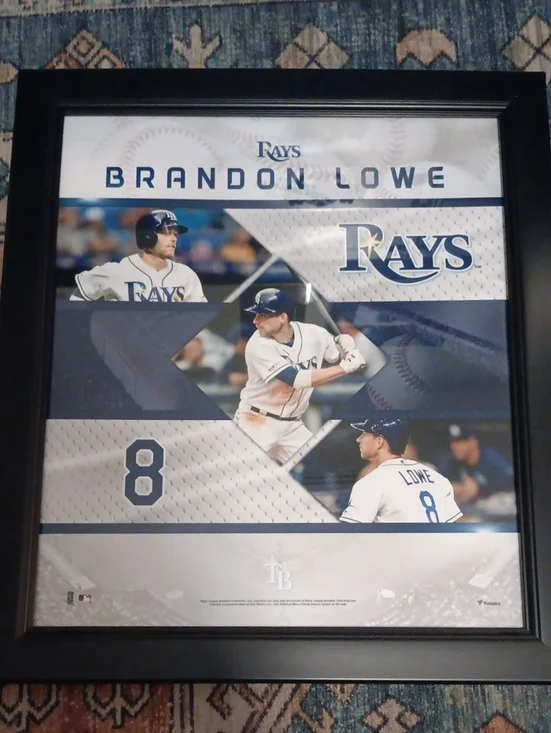 Tampa Bay Framed Baseball Collage Wall Art - Blue/White