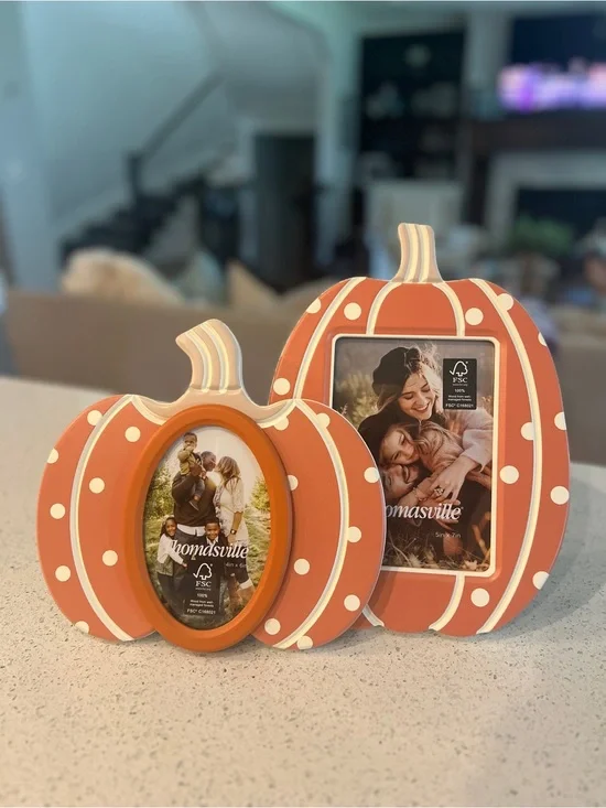 Autumn Pumpkin Photo Frame Set in Orange and White - Homesville
