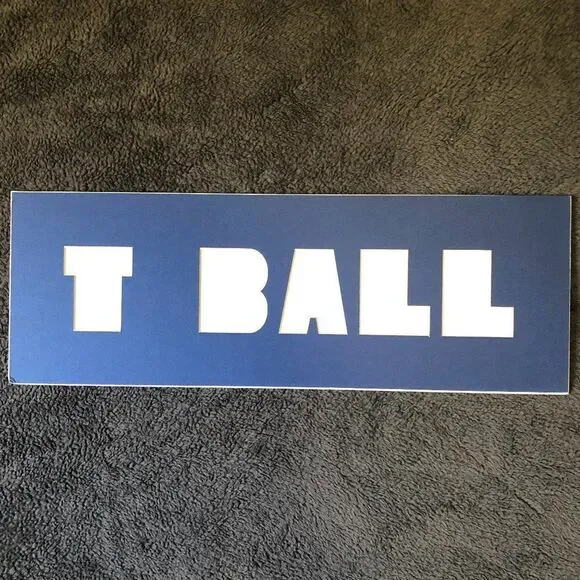 7x20 Blue T-Ball Photo‎ Mat