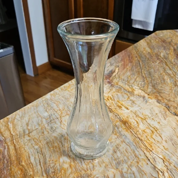 Elegant Clear Glass Flower Vase