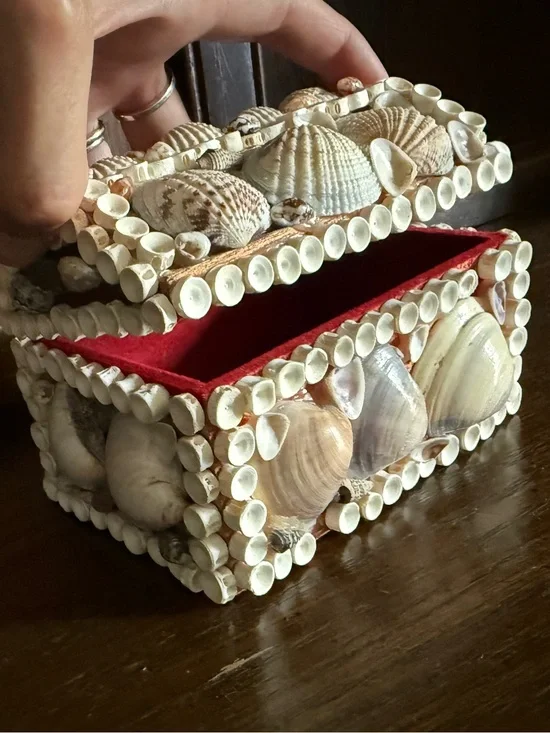 Seashell Decorative Trinket Box with Red Lining