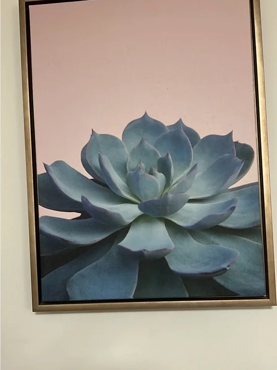 Blue Succulent Wall Art Print - Home Wall Decor