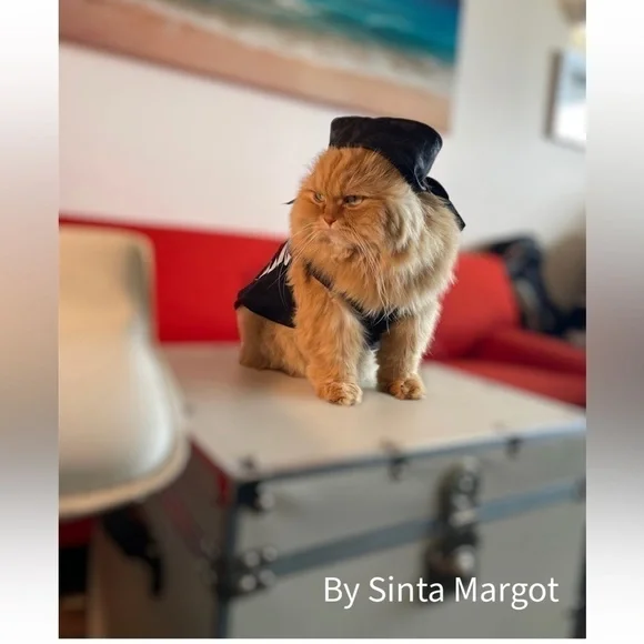 Digital art print by Sinta Margot handmade phots taken of Dior the Persian cat