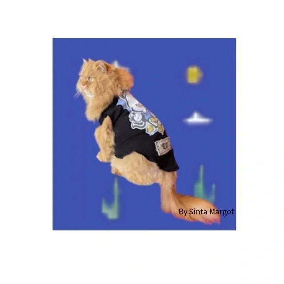 Digital art by me as an A4 print of a Persian cat different digital photography
