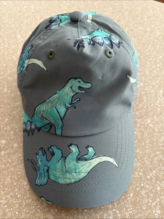 Carter's Gray Hat with Teal Dinosaur Print