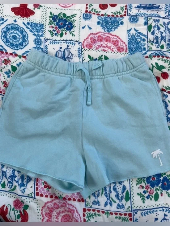 EUC Abercrombie Kids Casual Aqua Shorts