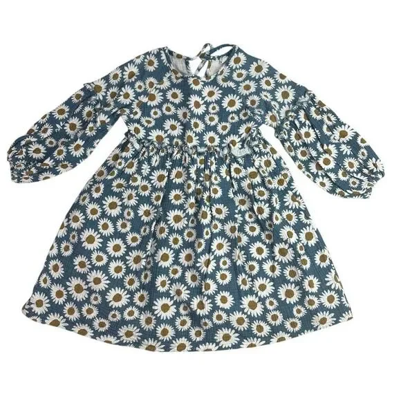 Alice & Ames The Bodie Dress in Daisies size 7