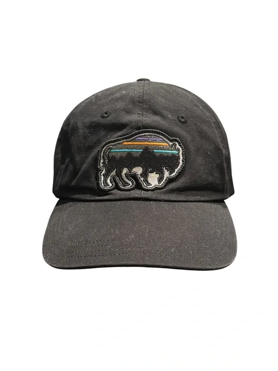 Patagonia Fitz Roy Bison Sttrapback Hat Cap Black