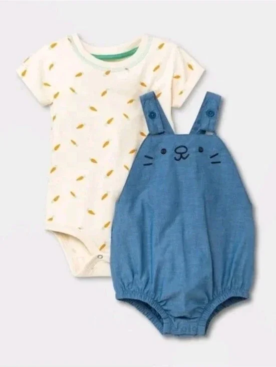 Cat & Jack Chambray Bunny Top & Bottom Set