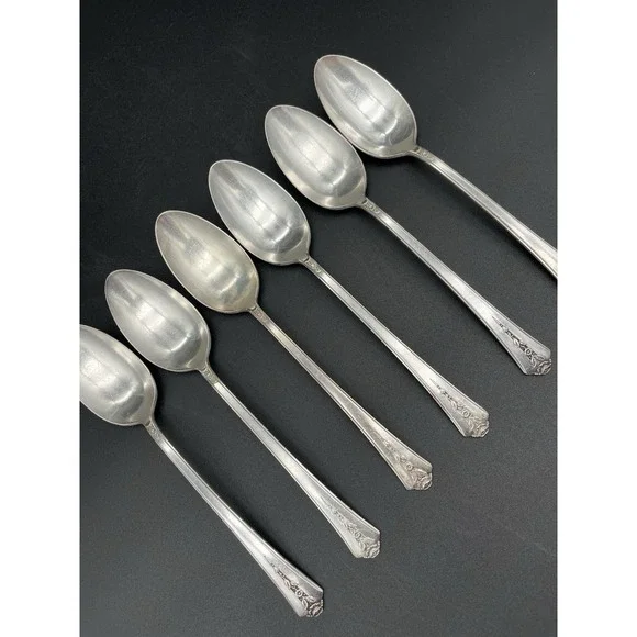 Silver Plate Tablespoon/Serving Spoon Set Of 6 Spring Garden International