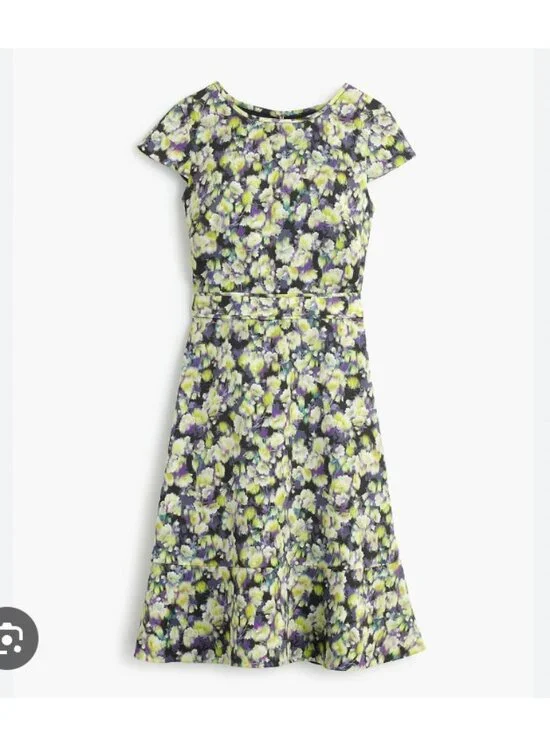 J.Crew Dress Womens 00 Multicolor Floral Fit Flare Short Sleeve Mini