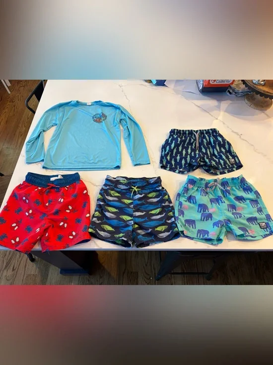 Boys Swim Bundle 2T to 4T - 5 items
