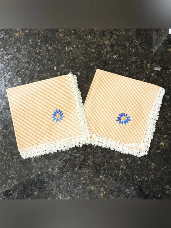 Vintage Set of 2 Orange Gingham Lunch‎ Napkins | Hand Embroidered Blue Daisies