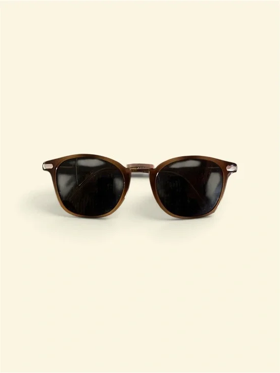 Men's Brown Polarized Sunglasses - Classic Round Frame