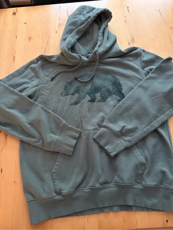 The North Face Men's Olive Hoodie with Bear Graphic