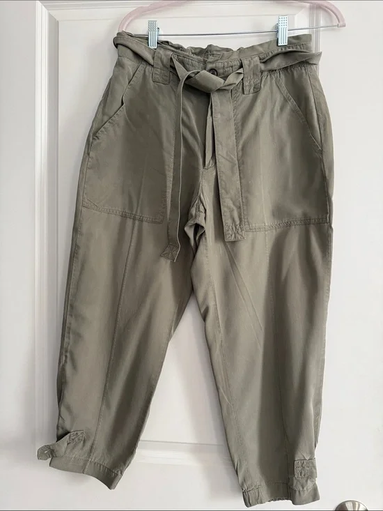Banana Republic Olive Green Cargo Paperbag Waist Pants with Belt