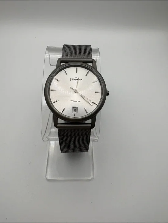 Skagen Titanium 170LTTM Watch Gray Stainless Steel Mesh Band Light Date Dial