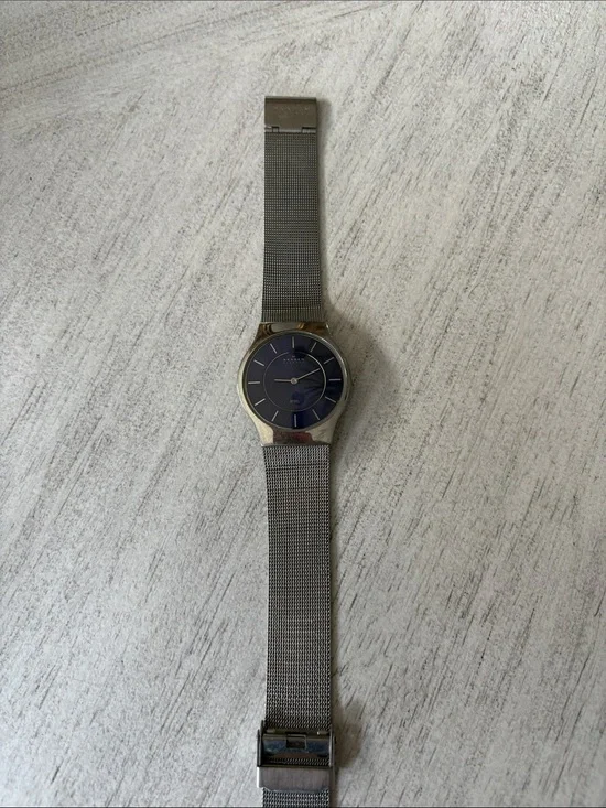 Skagen Silver Mesh Watch with Blue Dial. Works but needs a battery.