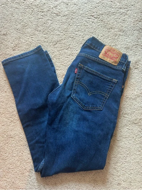 Levi's Men's Blue Straight Jeans with Signature Patch