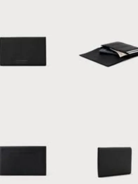 Accordion Travel Wallet