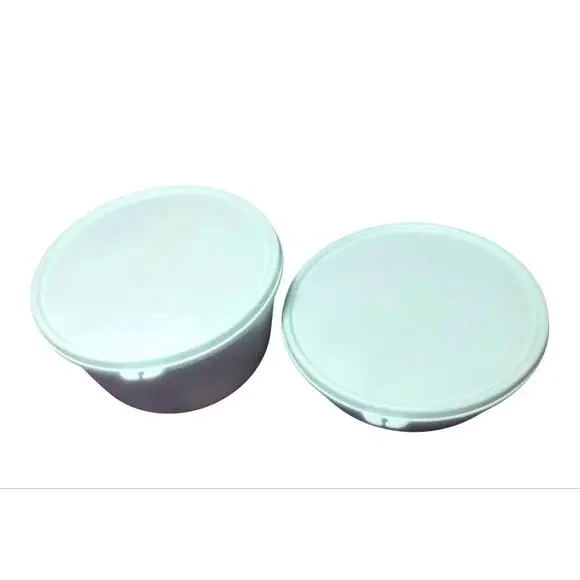 Set of 2 Vintage Tupperware Clear Bowls with Light Green Lids 3 1/2 c & 4 1/4 c
