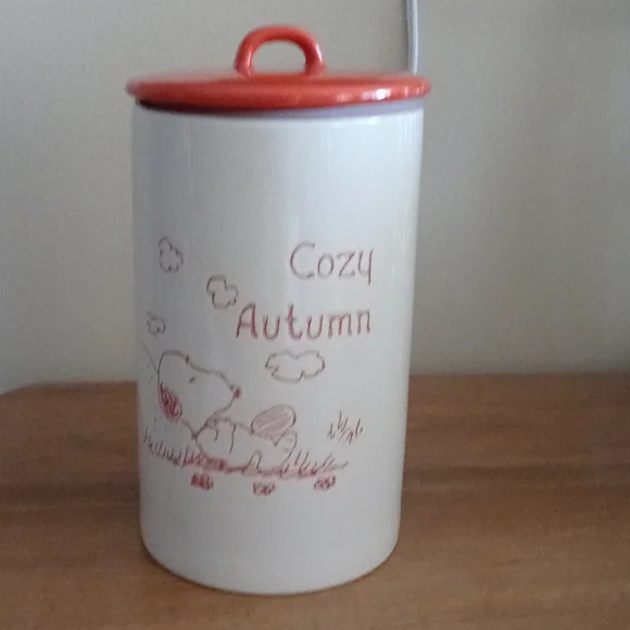 Snoopy fall canister